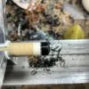 Pool cue shaft tip and ferrule on a lathe